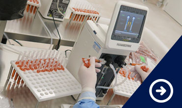 Blister Packaging Tooling