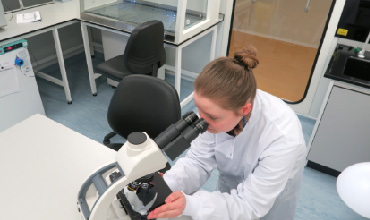 Wasdell Laboratory Services